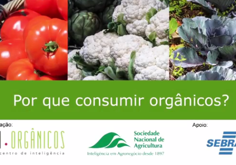 Os benefícios da agricultura orgânica Os benefícios da agricultura orgânica