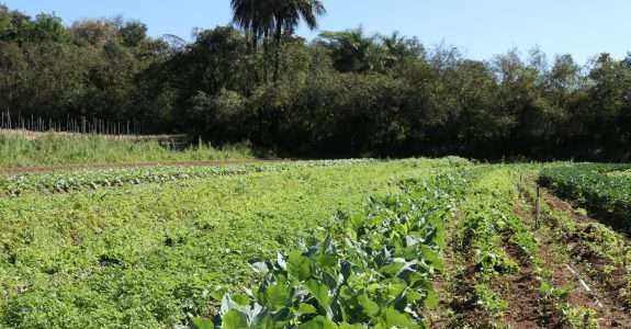 CMN eleva limites de financiamento para a agricultura familiar