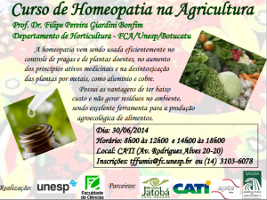 curso