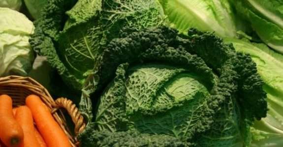 Estação Jabaquara do Metrô, em SP, feira livre de produtos orgânicos