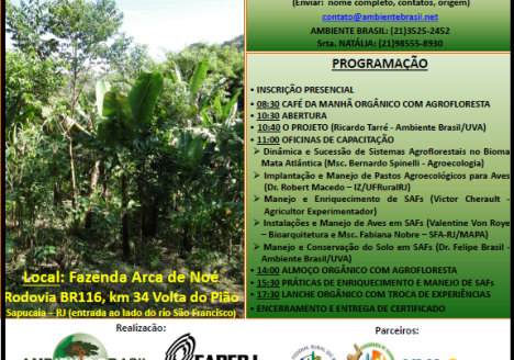Dia de campo sobre avicultura orgânica acontecerá no RJ Dia de campo sobre avicultura orgânica acontecerá no RJ