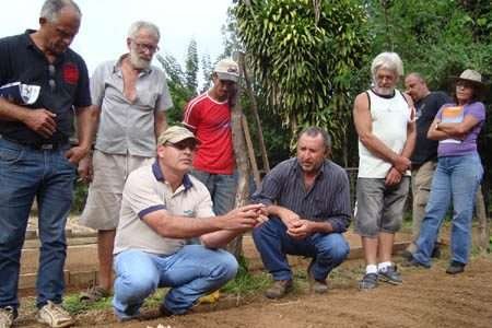 Embrapa capacita produtores de alho orgânico