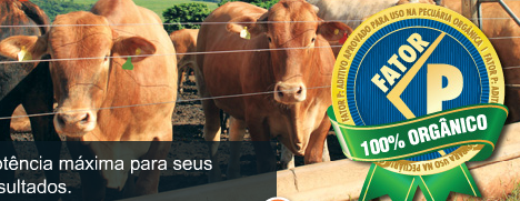 Empresa de nutrição animal é reconhecida pelo IBD pela qualidade de seus produtos orgânicos Empresa de nutrição animal é reconhecida pelo IBD pela qualidade de seus produtos orgânicos