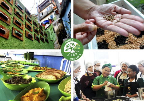 Projeto de culinária orgânica ensina como usar tudo dos alimentos