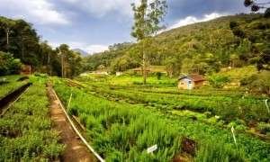 fazenda provence