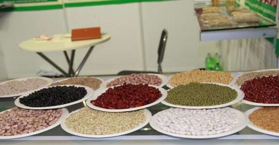 Agroecologia no Brasil