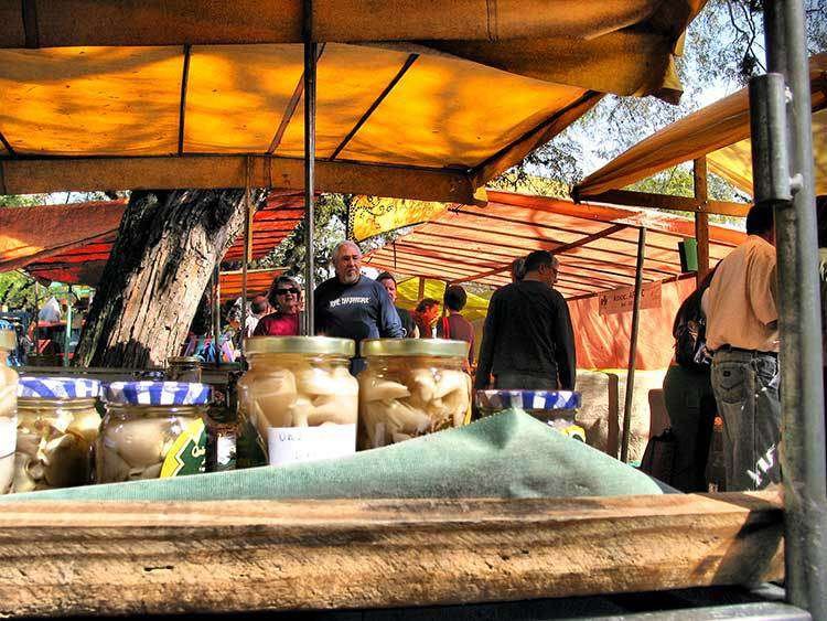 feira-ecologica_bom fim Porto Alegre