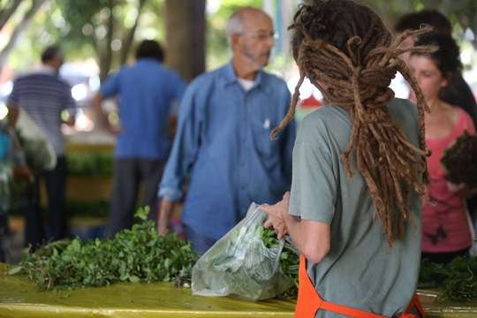 Feira orgânica de Menino Deus, em Porto Alegre