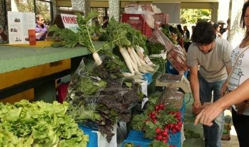 feira orquidário
