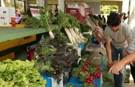 Feira de Orgânicos acontece no Orquidário