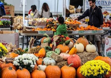 10 razões para consumir orgânicos 10 razões para consumir orgânicos