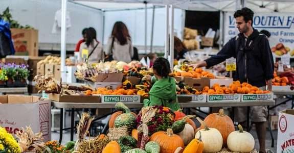 10 razões para consumir orgânicos