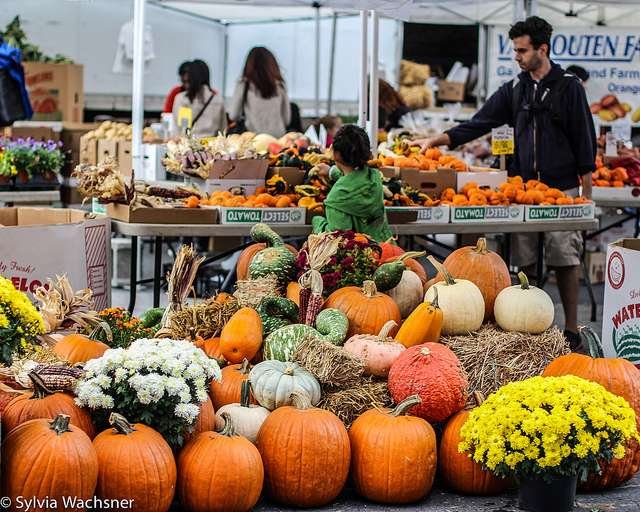 Feira orgânica em Nova York/ Foto: Sylvia Wachsner