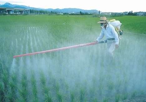 Brasil é principal contribuinte no aumento de vendas de fertilizantes Brasil é principal contribuinte no aumento de vendas de fertilizantes
