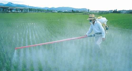 Brasil é principal contribuinte no aumento de vendas de fertilizantes