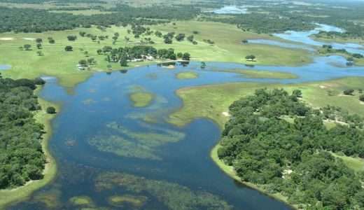 Software mede nível de sustentabilidade de fazendas no Pantanal