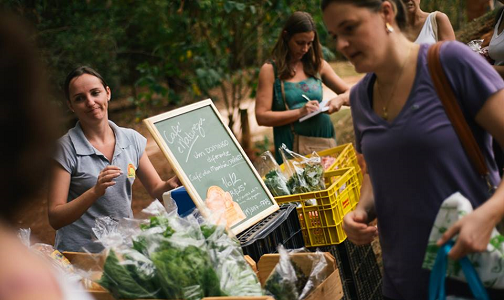 A história do Sítio A Boa Terra