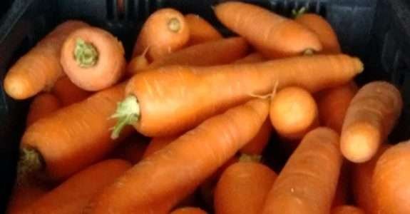 Agricultura familiar no cardápio olímpico