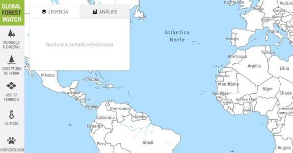 Regeneração natural de florestas captura carbono mais rápido do que se pensava