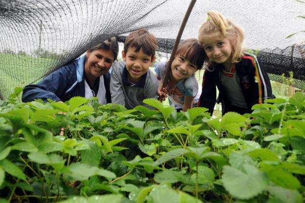 Professora Francine dos Santos, Eduarda, Eliseu e Isabelly têm prazer em cultivar a horta do CEI Espinheiros Foto: Salmo Duarte / Agencia RBS