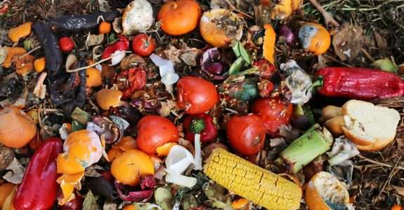 O desperdício de alimentos no foco das preocupações