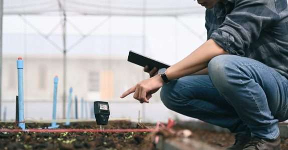 Controle biológico precisa ser mais barato e disponível, diz Joop van Lenteren