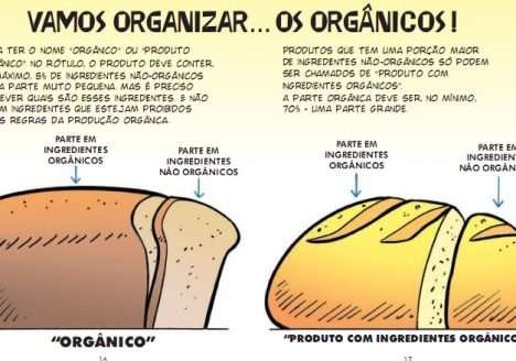 Produto orgânico ou produto com ingredientes orgânicos?