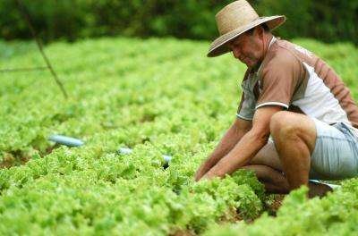 Horticultores do agreste são certificados após dois anos Horticultores do agreste são certificados após dois anos