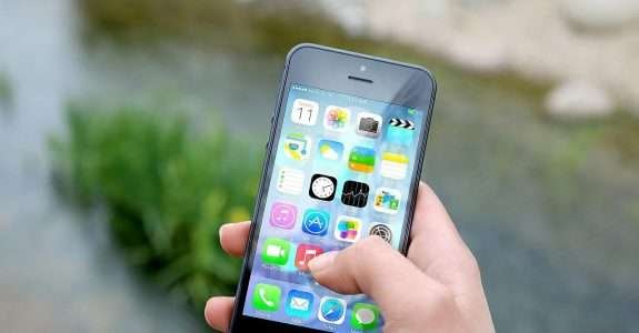 Compra e venda de orgânicos a alguns cliques