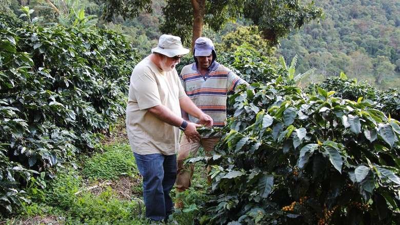 O pesquisador Paulo Lima e Jonas Lopes: projeto recupera áreas degradadas com cafés especiais e gera grãos de valor agregado (Foto: Erasmo Reis / Epamig)