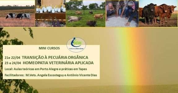 Instituto do Bem-Estar abre inscrições para mini cursos