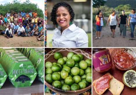 Cooperativa fundada por mulheres do semiárido baiano produz doce preservando a caatinga