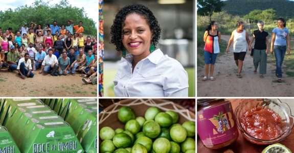Cooperativa fundada por mulheres do semiárido baiano produz doce preservando a caatinga
