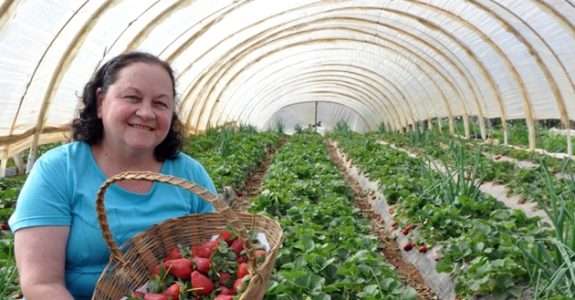 Plano Nacional de Exportações ajuda o agricultor a agir no mercado externo