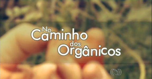 Maior horta orgânica do Brasil é localizada em Goiás