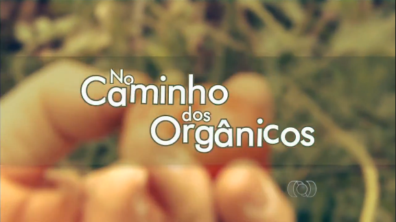no caminho