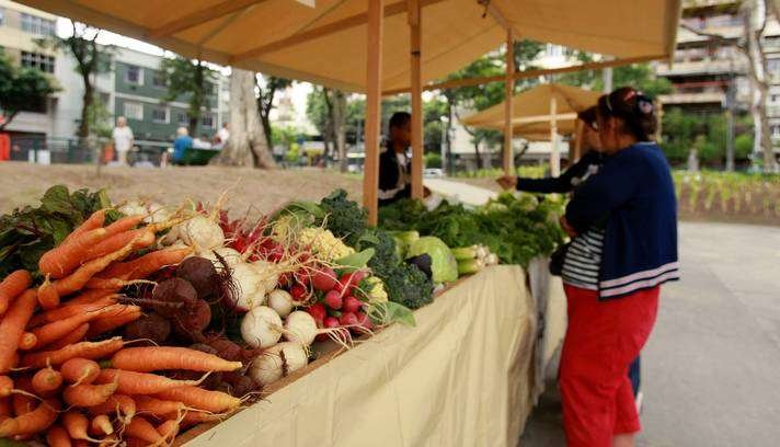 orgânico-feira curitiba