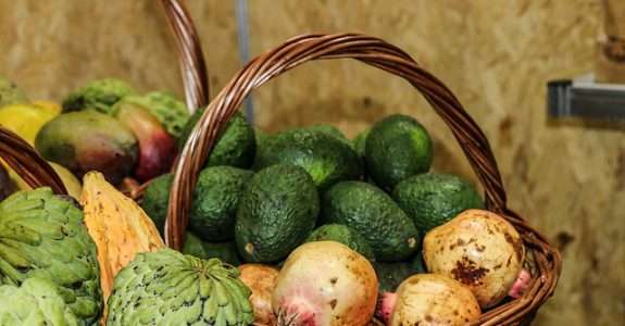 Paraná valoriza a agricultura familiar para garantir merenda saudável e movimentar economia local