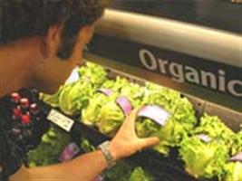 Agricultura familiar org&acirc;nica: sele&ccedil;&atilde;o de projetos vai at&eacute; o dia 25