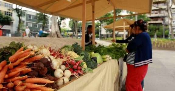 Campanha pela certificação de orgânicos combate informalidade no setor