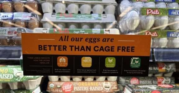 Orgânicos são os mais buscados nas prateleiras