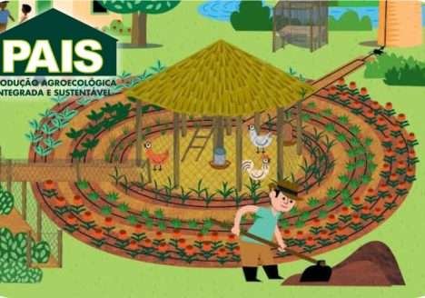 Produção Agroecológica Integrada Produção Agroecológica Integrada