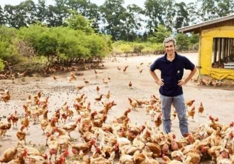 Fazenda de orgânicos de Pedro Paulo Diniz amplia sua produção