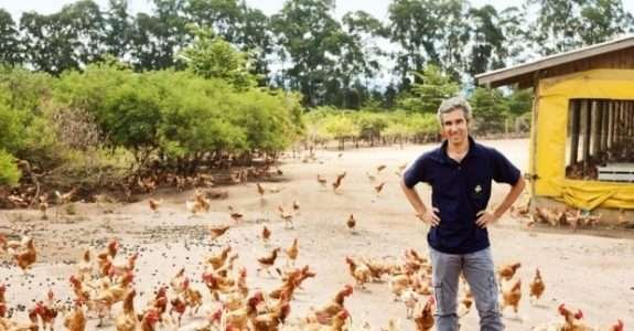 Fazenda de orgânicos de Pedro Paulo Diniz amplia sua produção