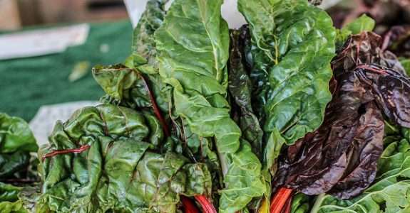Com certificação participativa, produção orgânica cresce na Bahia