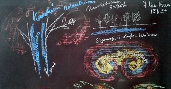 Embrapa confirma a importância da biodinâmica para a agricultura e o meio ambiente