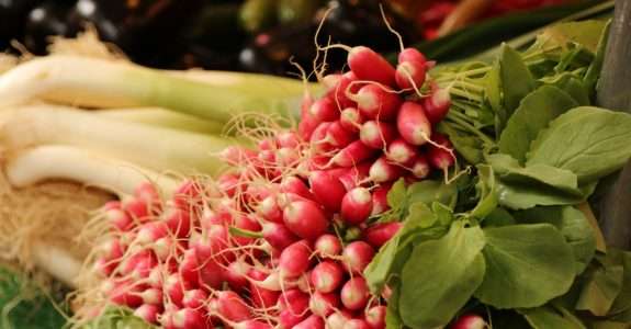 Millennials: a geração que está impulsionando o consumo de alimentos orgânicos