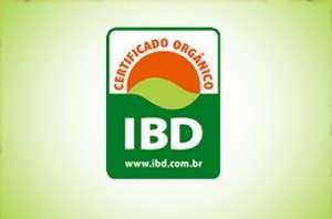 selo_ibd