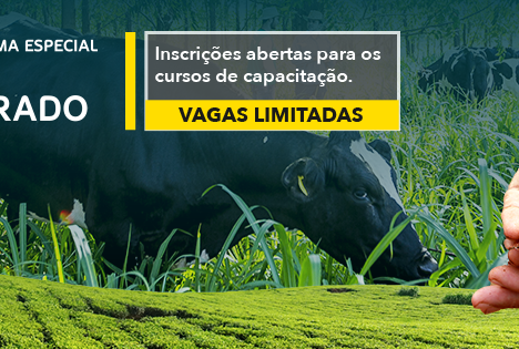 SENAR-SP capacita agricultores em programas especiais de formação para cultivo orgânico SENAR-SP capacita agricultores em programas especiais de formação para cultivo orgânico