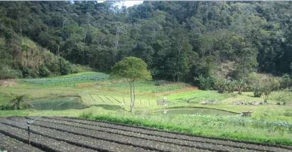 Sítio Cultivar: Há 20 anos produzindo orgânicos